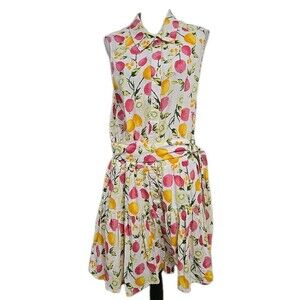 Cynthia Rowley Button Front Belted Fruit Print Linen Blend Sheath Dress Size 14
